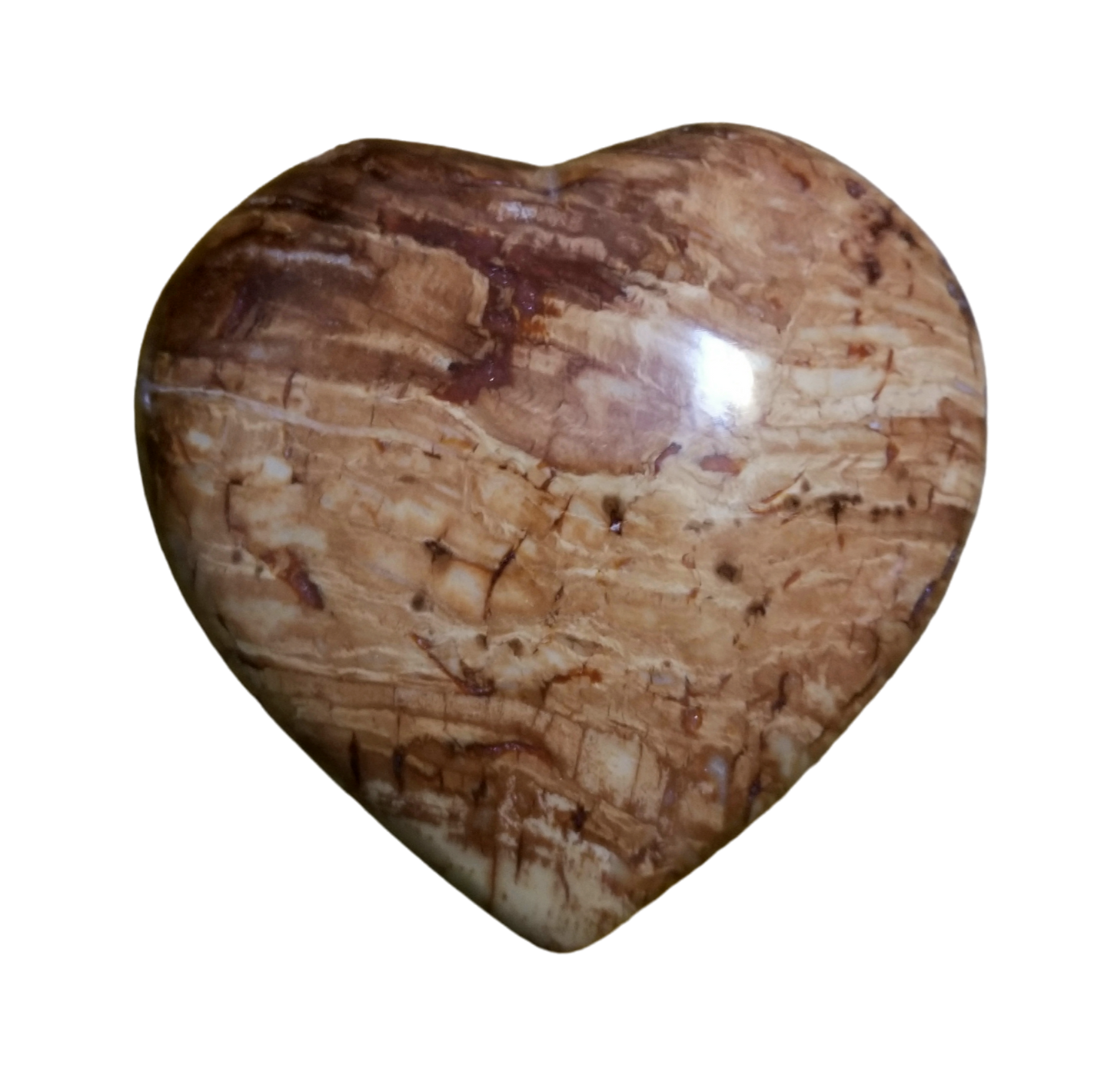 Petrified Wood Heart