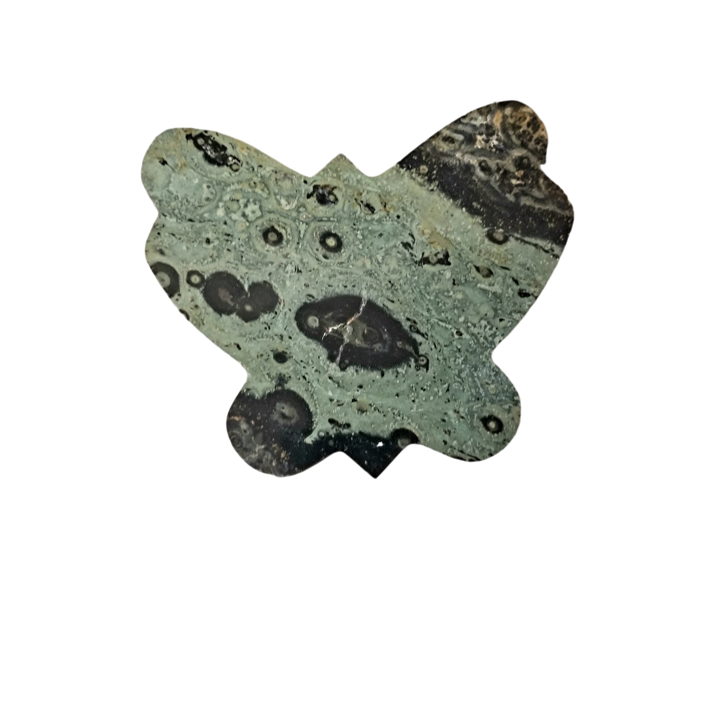 Kambaba Jasper