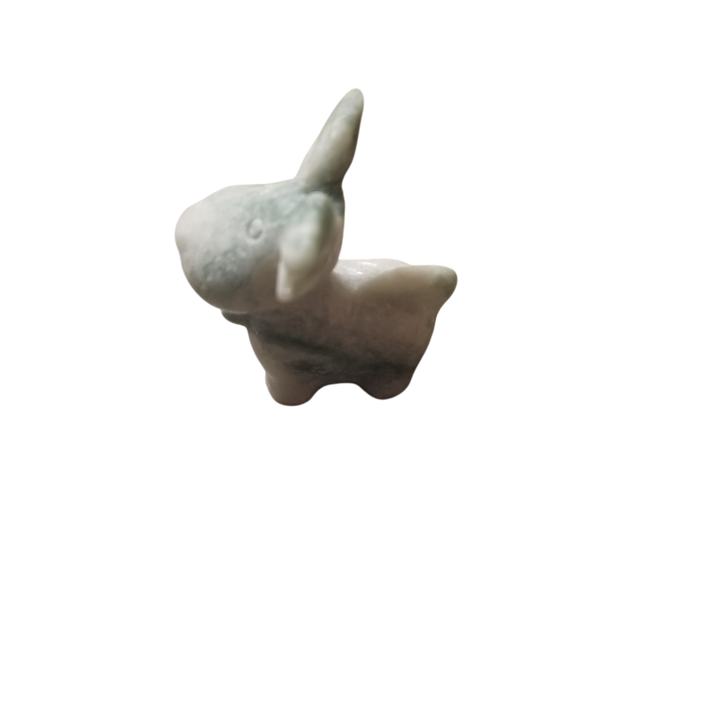 Reindeer
