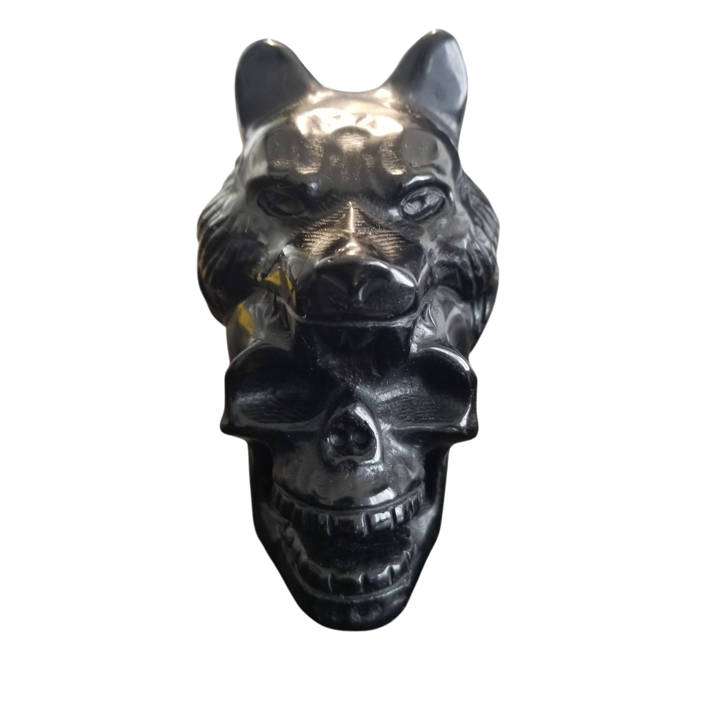 Skull
