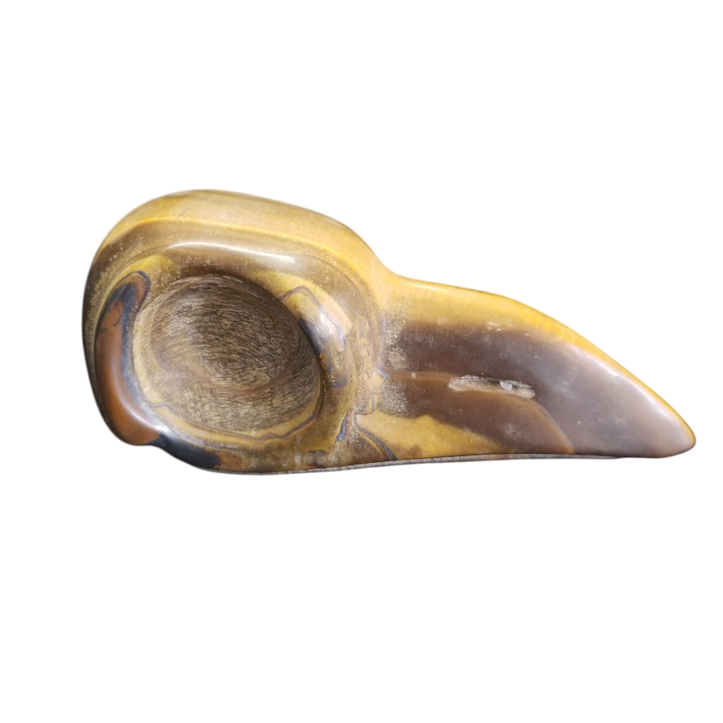 Raven Skull