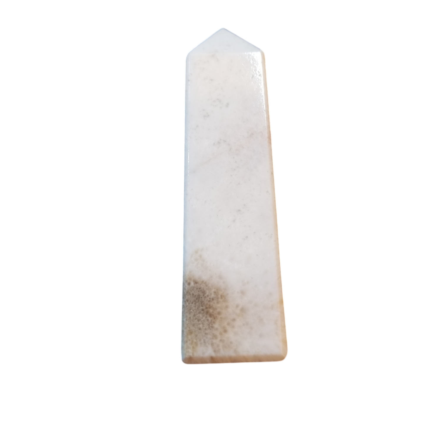 Scoliette