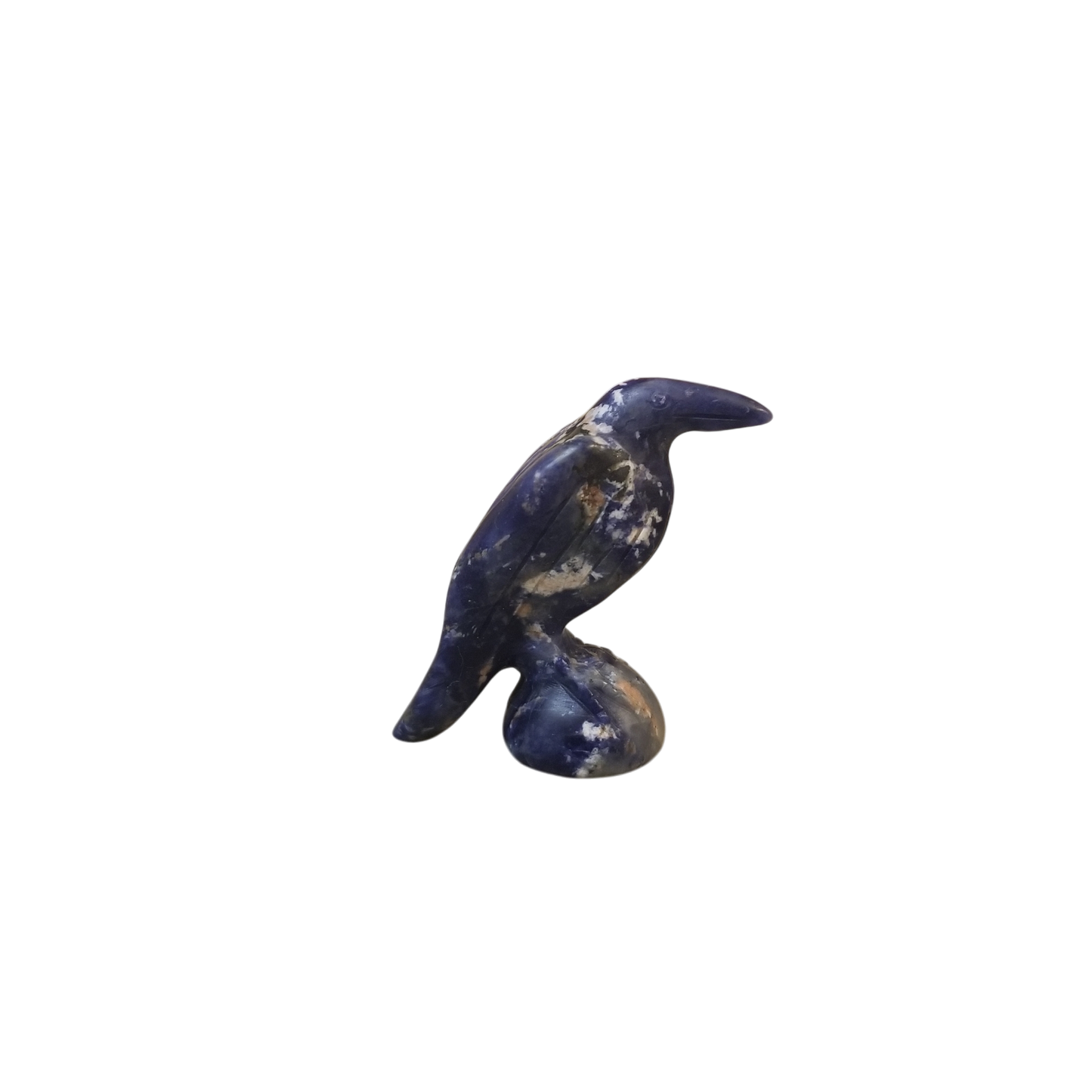 Raven