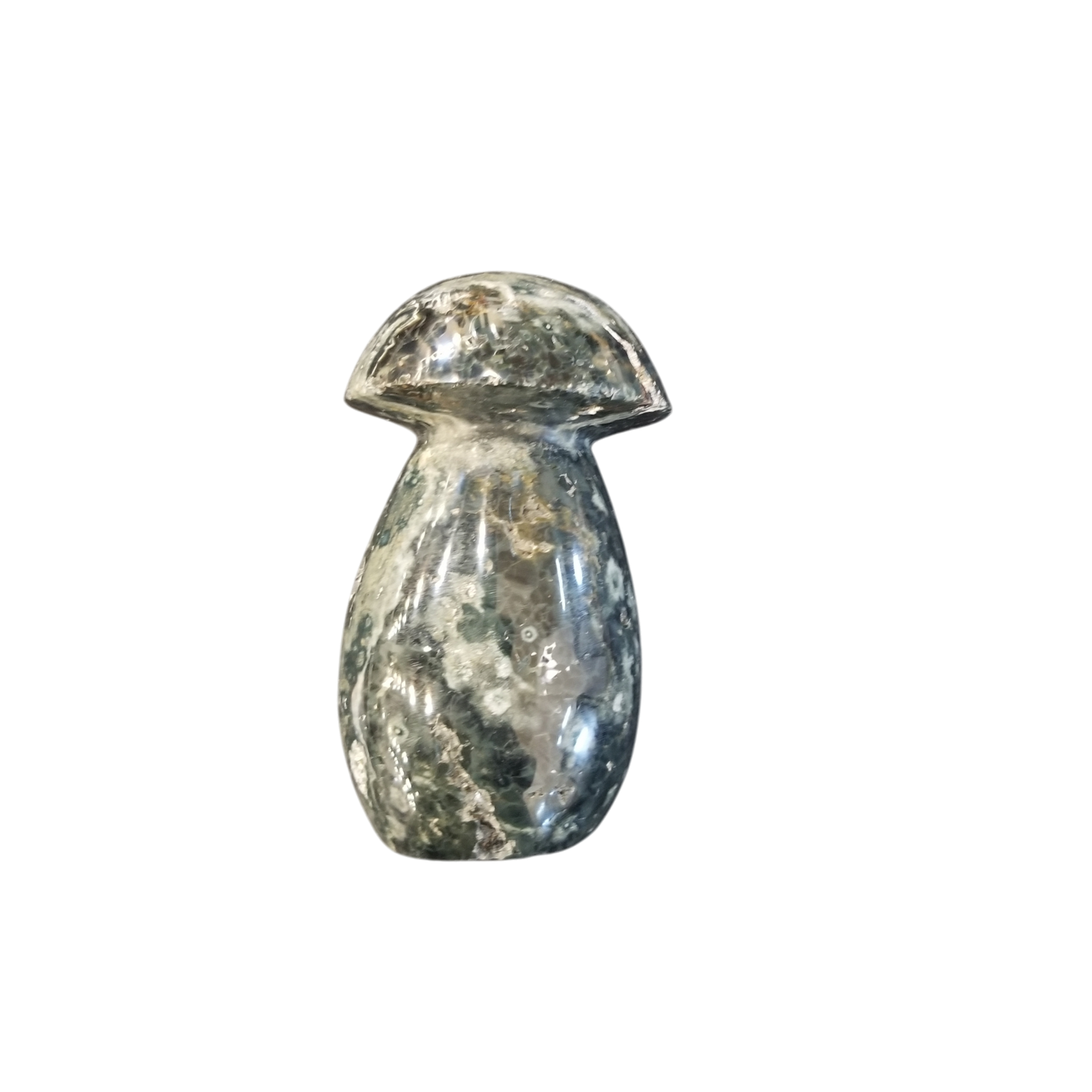 Kambaba Jasper