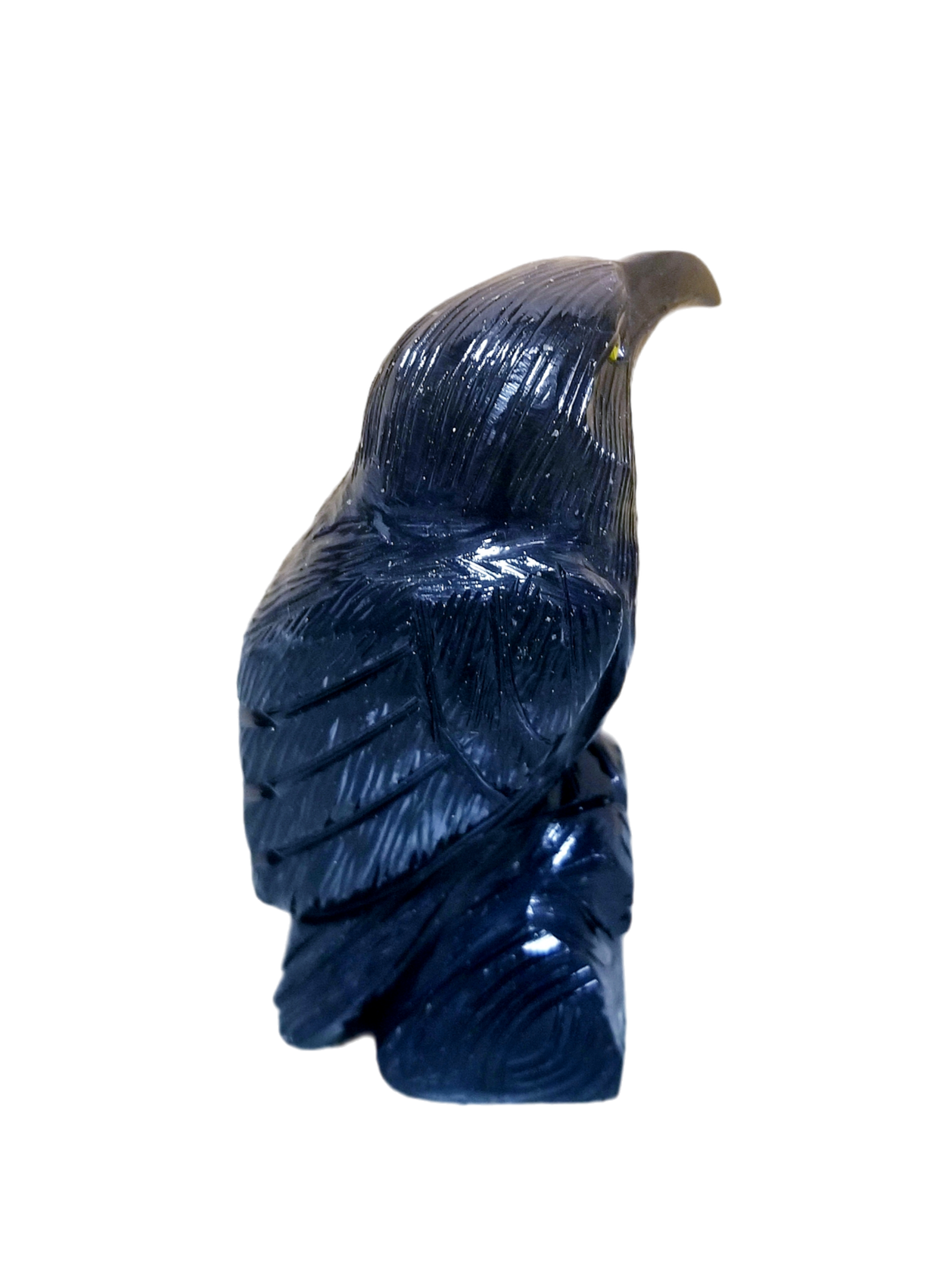 Black Onxy Raven