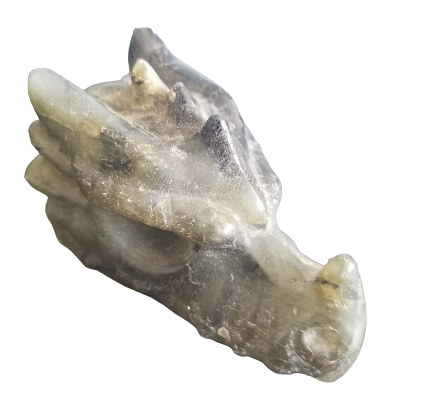 Labradorite Dragon Head
