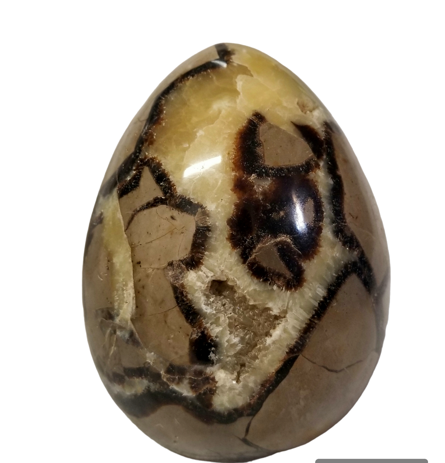Septarian Stone