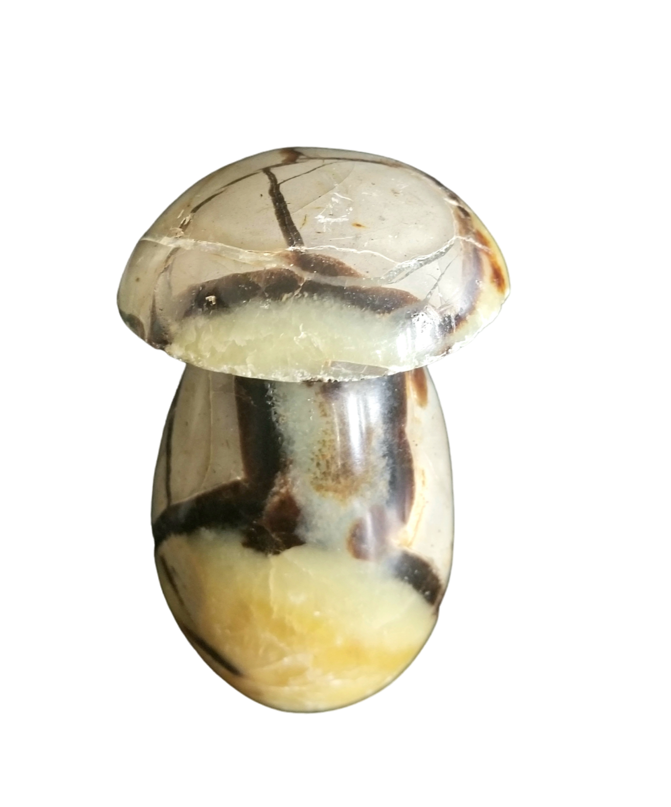 Septarian Stone