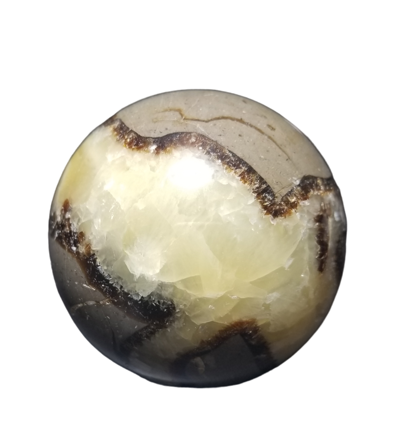 Septarian Stone