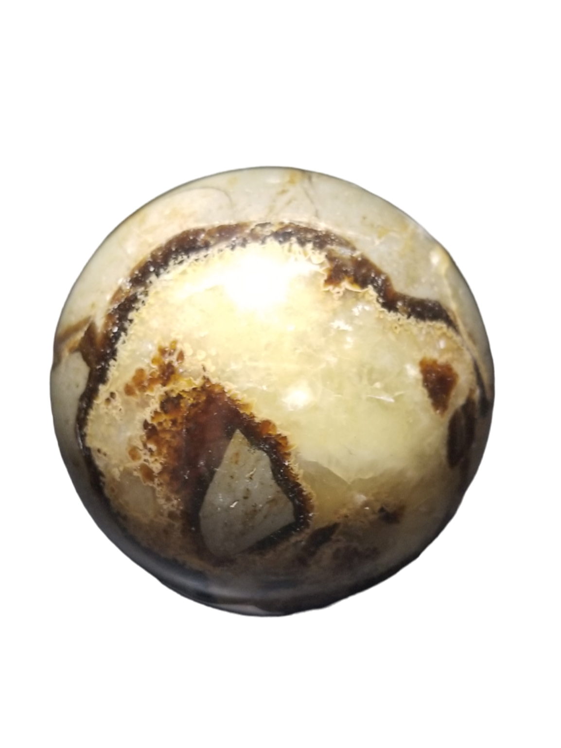Septarian Stone