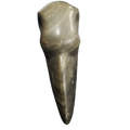 Raven Skull