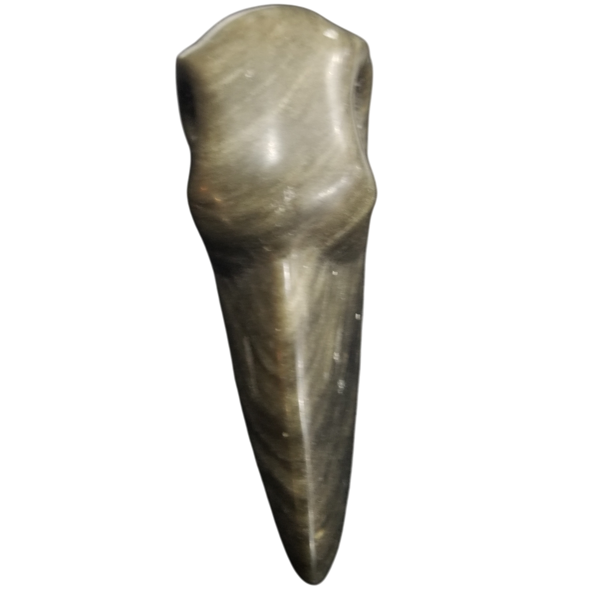 Raven Skull