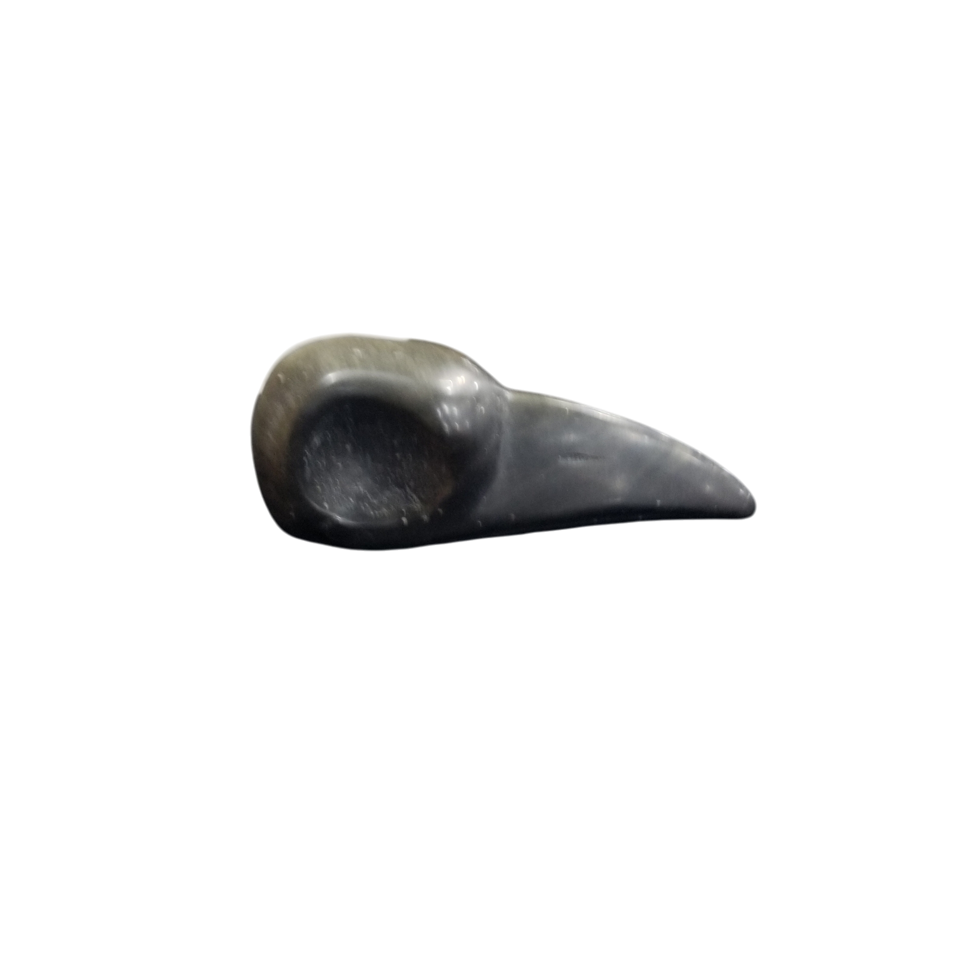 Raven Skull