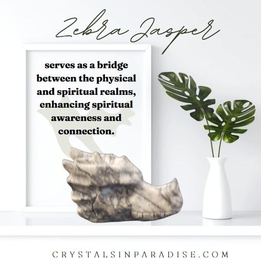 Zebra Jasper