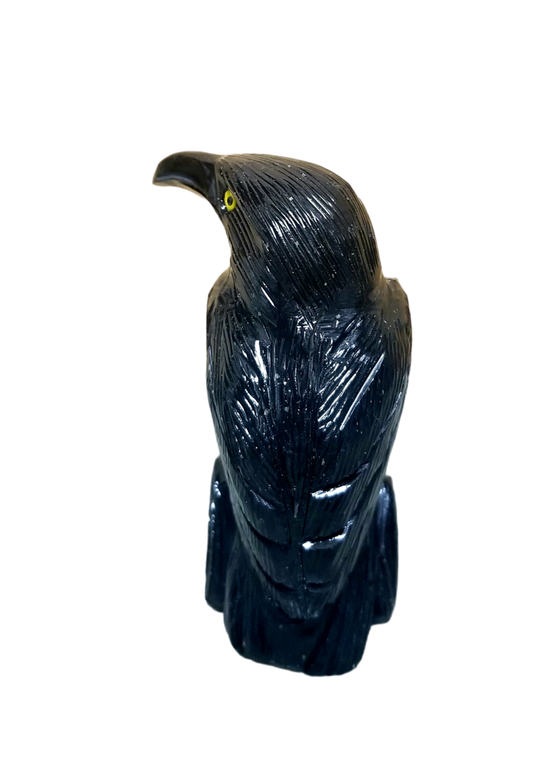 Black Onxy Raven