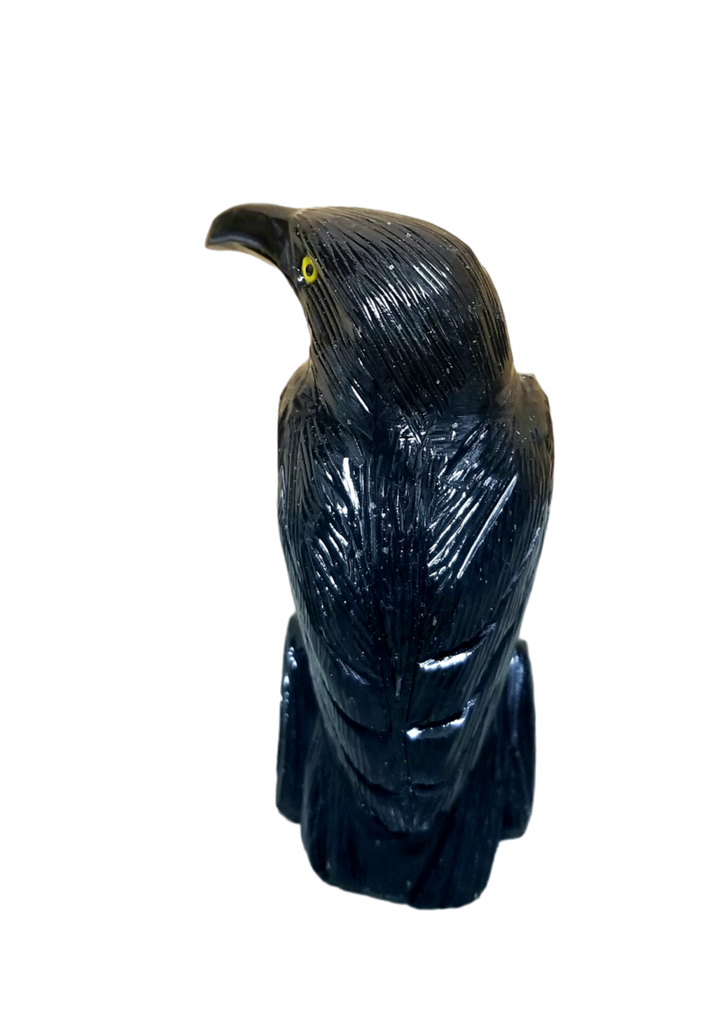 Black Onxy Raven