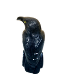 Black Onxy Raven