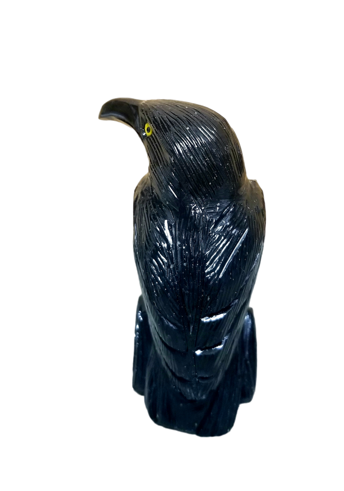 Black Onxy Raven