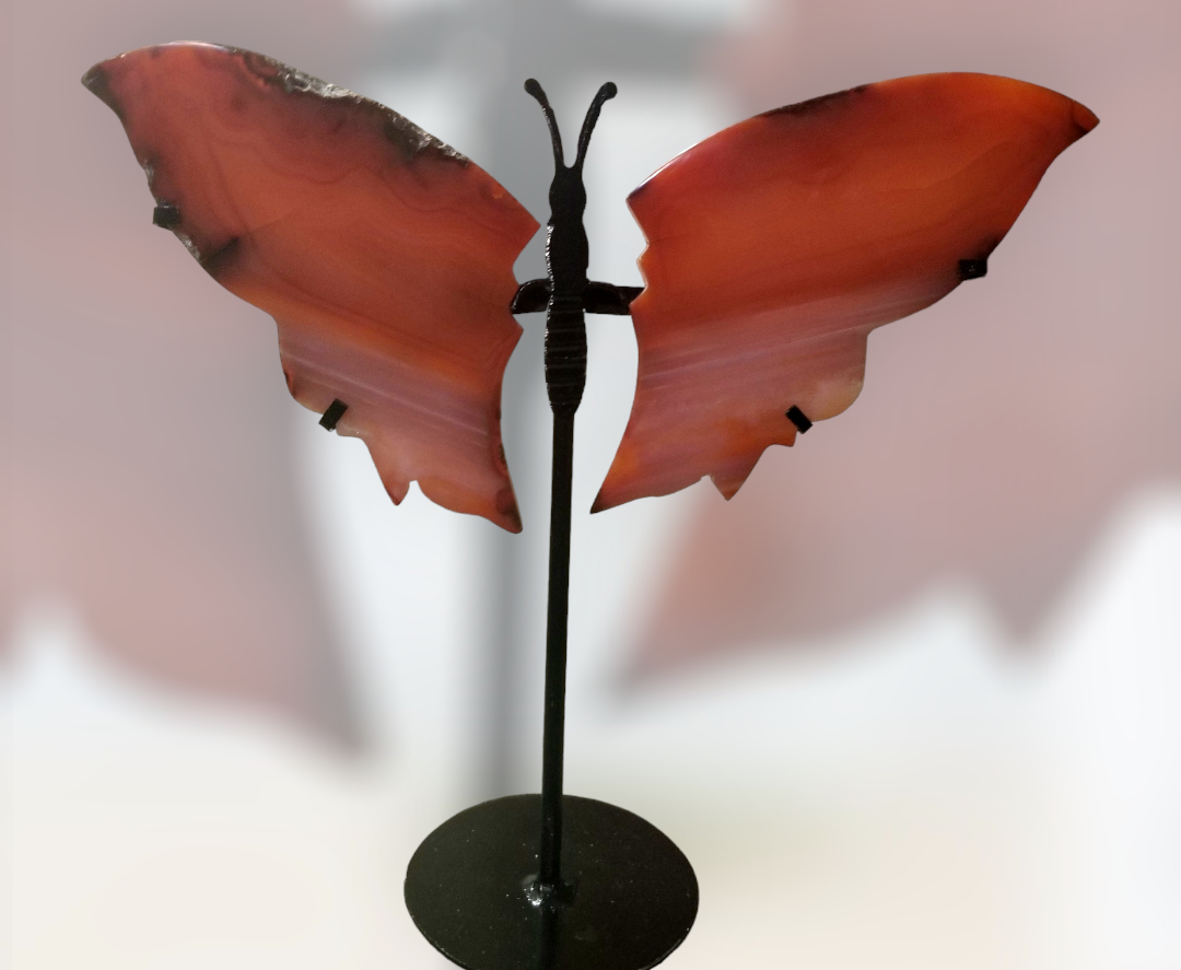Carnelian Butterfly Wing with stand