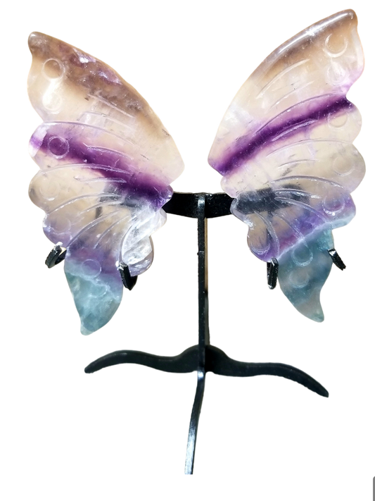 Exquisite Fluorite Butterfly Wings: Nature's Artistry Unveiled