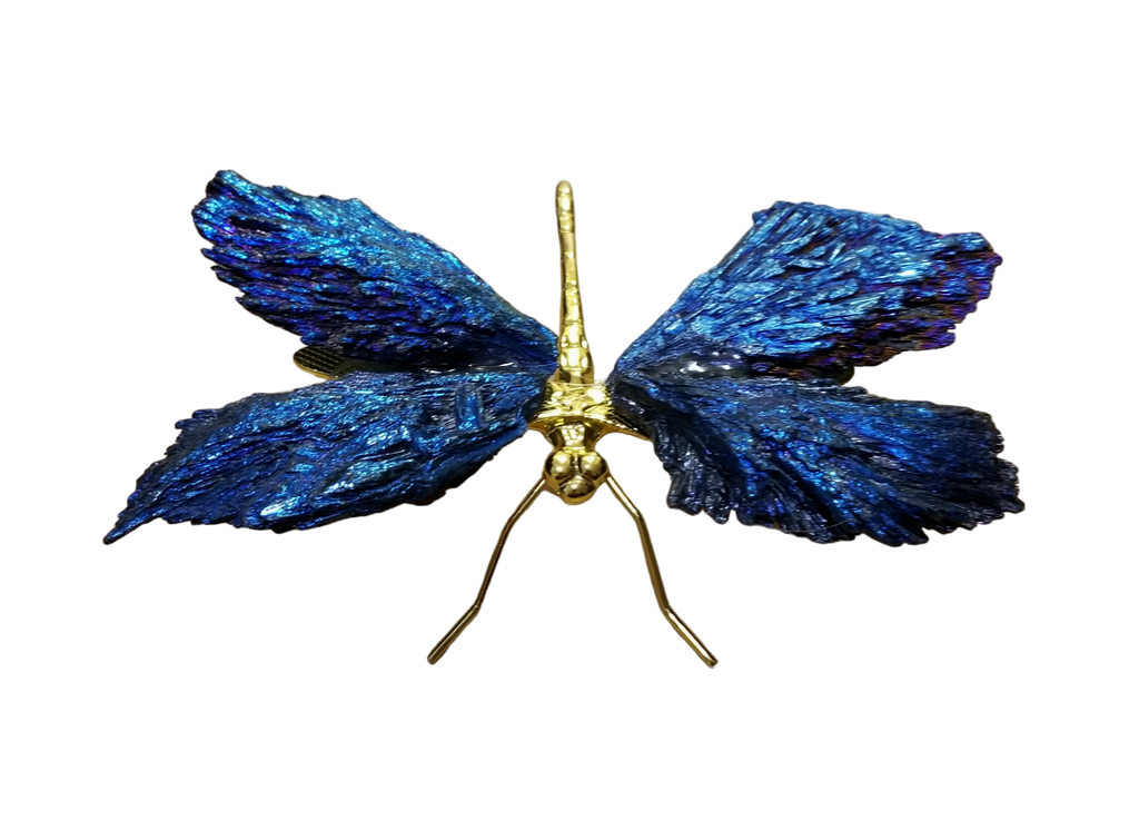 Aura-Coated Kyanite Dragonfly