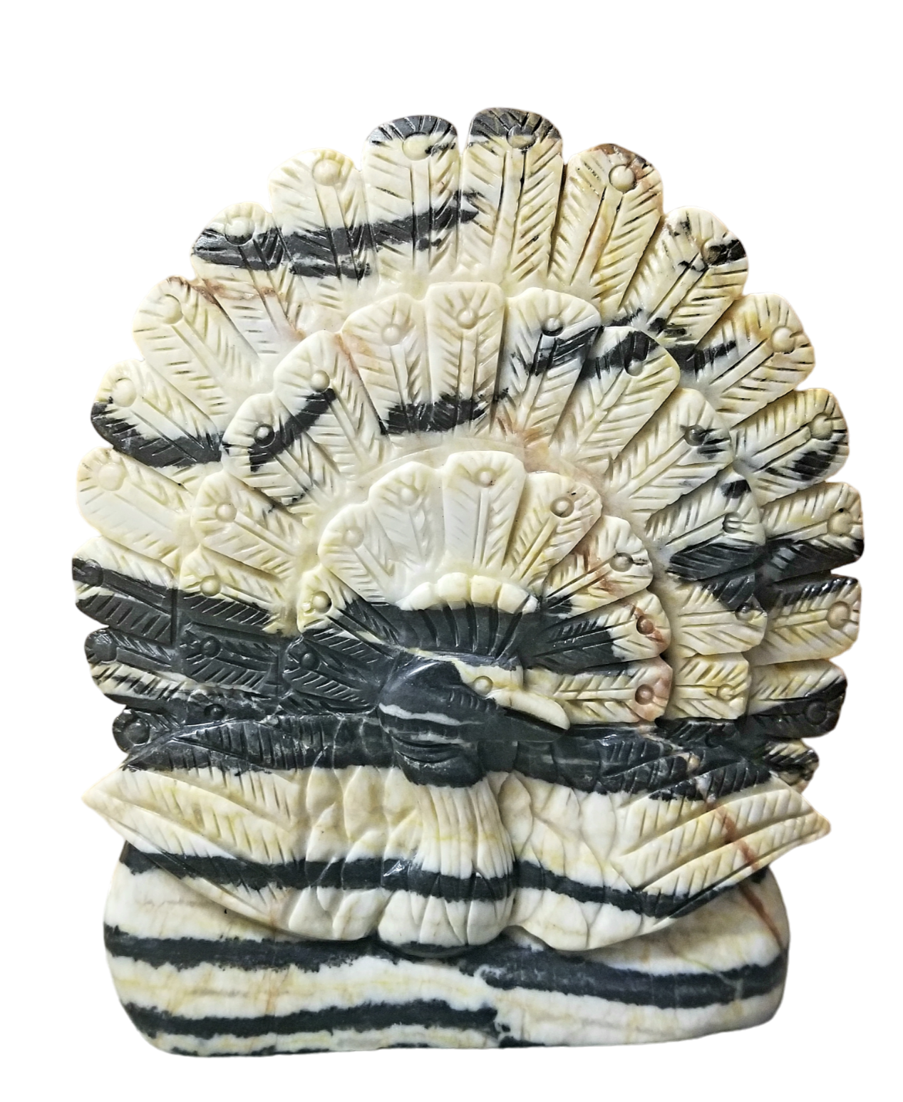 Zebra Jasper